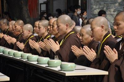 专攻《无量寿经》，凡圣同居土下下品往生，我就很满意了