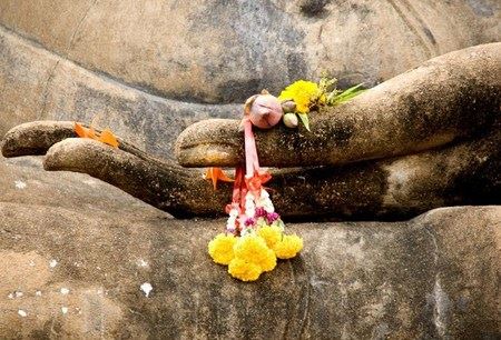 邪淫果报惨烈，为了幸福，为了解脱，希望大家以我为鉴