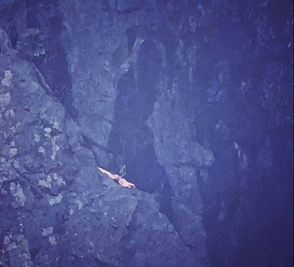 戒杀，结束因果循环