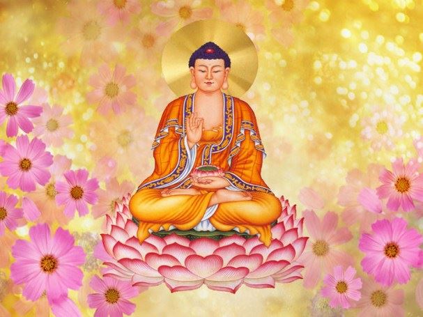 静波法师：没智慧你凭什么心甘情愿做好事