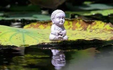 佛教讲不讲看住宅或坟地的风水？