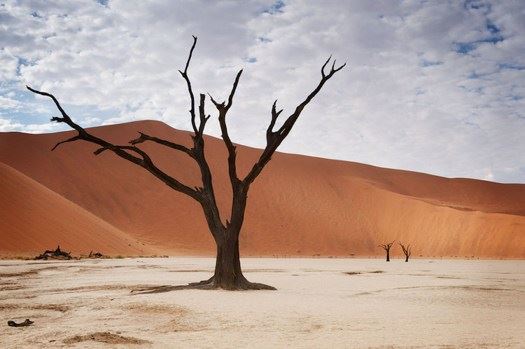 进寺院后每一尊都需要一一拜过吗？