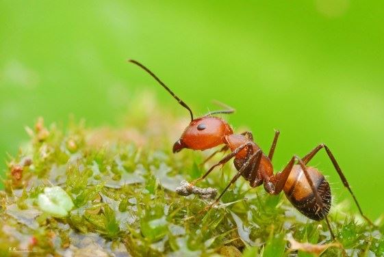 淫念本来就是空