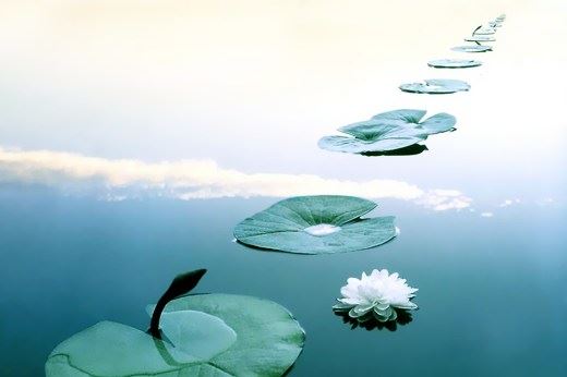 一声佛号灭八十亿劫生死罪，是专指临终前求生心切的时侯吗