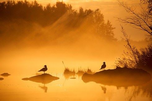 佛教点灯祈福和供灯的常识