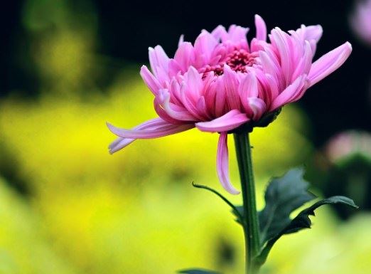 冤亲债主都是指已经去世的人吗？