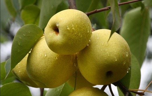 常敏法师答：《心经》中的“般若波罗蜜多”，与名号---