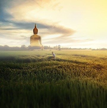 临终时无人助念，如何自救早登极乐？