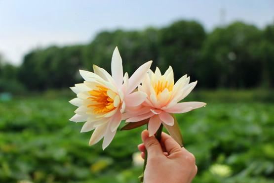 中国五大宗教是指哪五大呢？