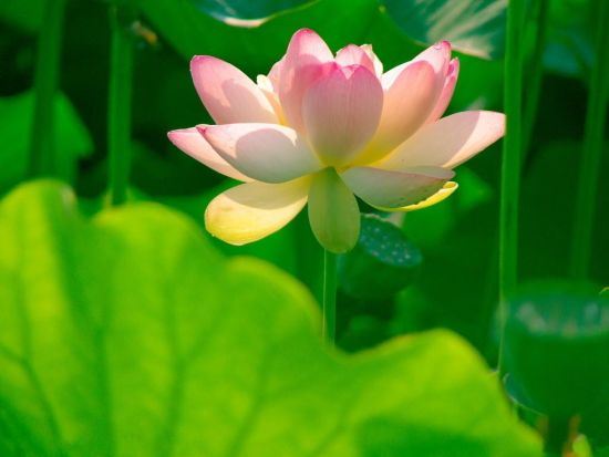 缘分，离不开珍惜二字