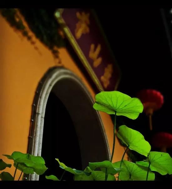 佛法不是供起来的，佛法是引导我们过最有正能量的生活