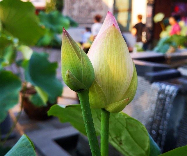 财富的来路不如法，就会自食其果