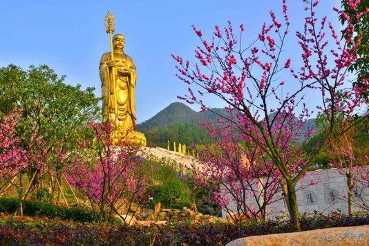 你知道佛教常说的"六根清净"中的"六根"是指什么？