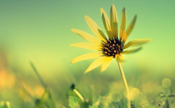 牌位超度与佛教的根本精神是否相符