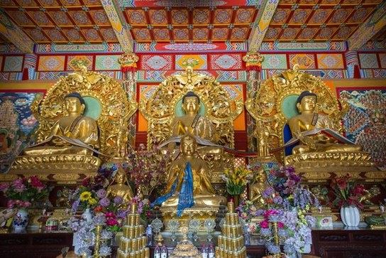 戒杀吃素，功德无量