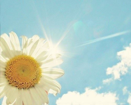 听大师谈论男女相爱的前世今生