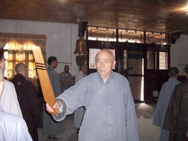 纪实因果案例：虐待动物后的惨烈代价