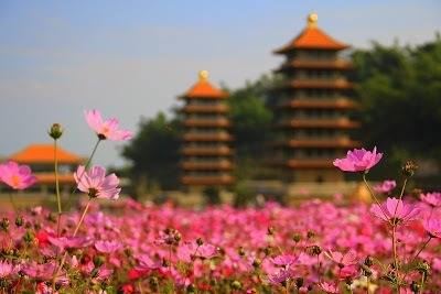 居迦离谤舍利弗，死后入大莲花地狱