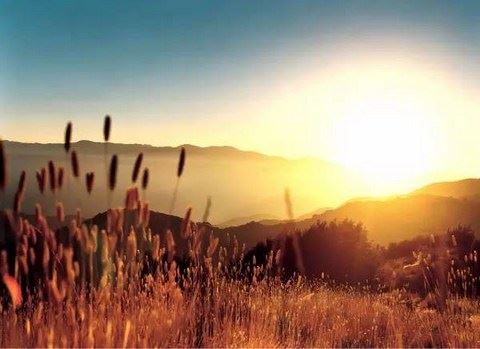 快速戒邪淫修福报的方法