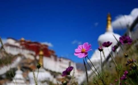 人生聚散，世间万事，总是缘