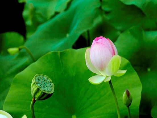 如何从信佛人变成学佛人？