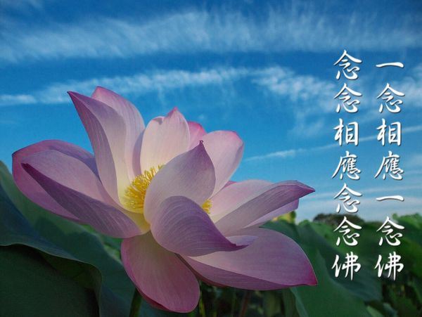 五老劝我别生气