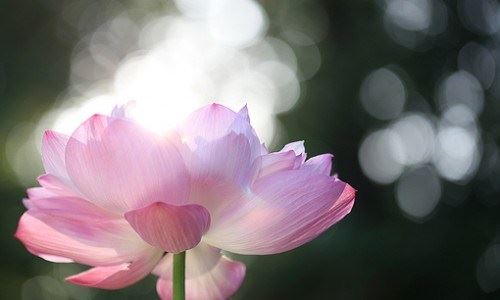 忍辱不是忍气吞声，而是大义凛然不计较