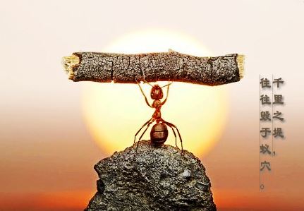 学佛的四个基本原则