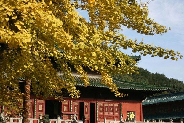 什么是业力无尽，生死无穷？