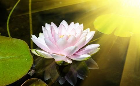 父亲临终的惨状让我深信因果