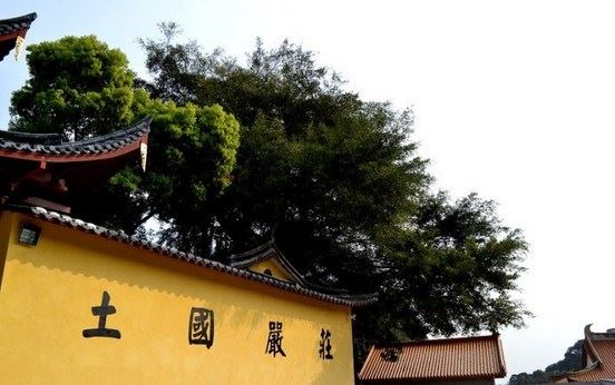 学佛为何要要经常忏悔罪业？