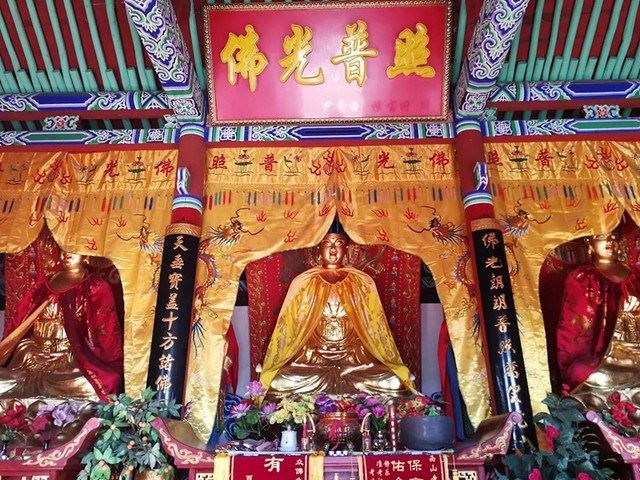 有人说，刚刚信佛，刚刚想皈依，有些事情还难做到，怎么办