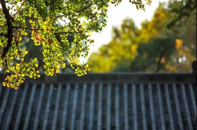 佛教中的横三世佛和竖三世佛指的是什么?