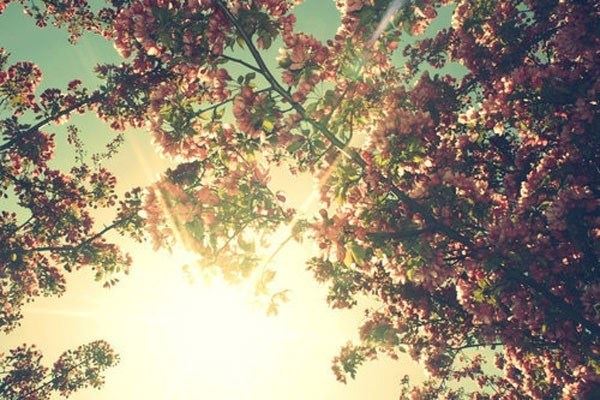 在顺境中积福，在逆境中消业