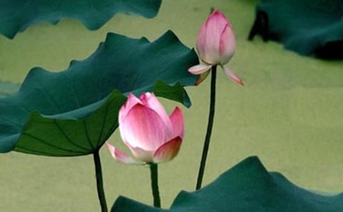 瞬间就是一年，转眼就是一生