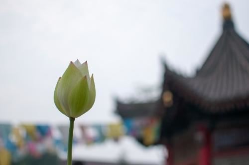 “卍”在佛教中具体有何含义该如何正确理解？