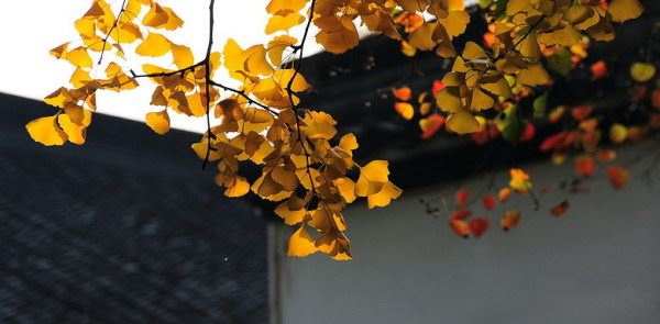 邪淫可谓最为不值之交易