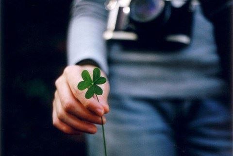 圣空法师开示：什么叫夹杂？