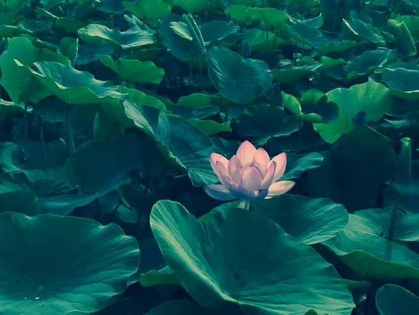 念大悲咒9年，多次奇异感应经历