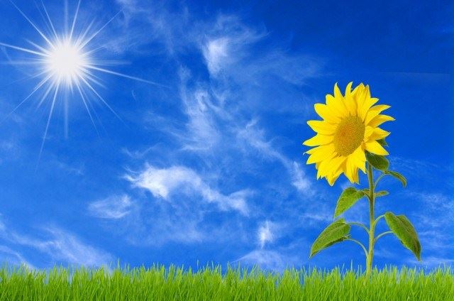 往生是现在的事吗？