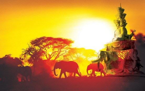 奇妙的婚嫁故事