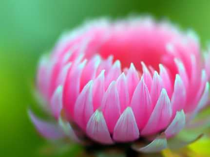 知因懂果，懂得佛法、认知佛法，才能真正运用佛法