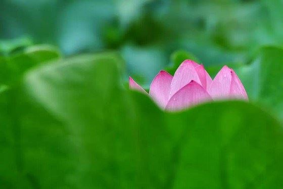 六道轮回的三世因缘