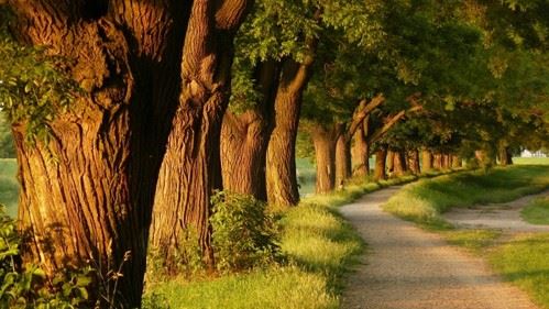 我们该如何理解佛教中的“念佛成佛”？