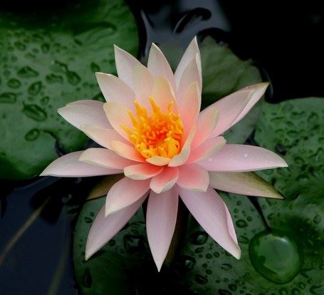 【佛学论文】青春被谁折断了翅膀