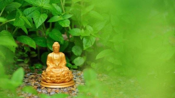 修行时怎样去掉妄心，使真心显现？