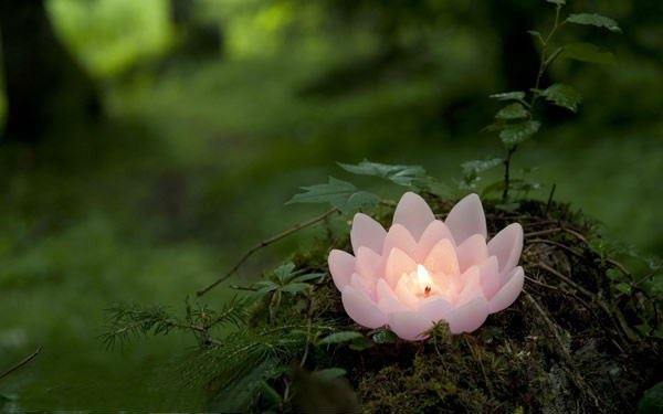 邪淫让他断送了性命