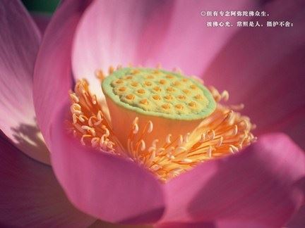 生活是一种恩典请懂得珍惜