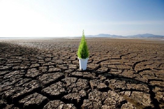 如何正确地念佛调心？调身调心，修行修心