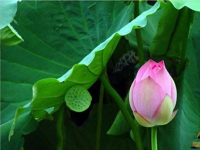 水陆法会的含义